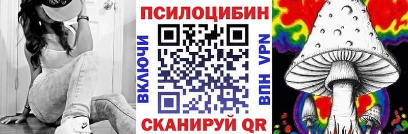 купить наркотик  Шахунья  Галлюциногенные грибы ЛСД 